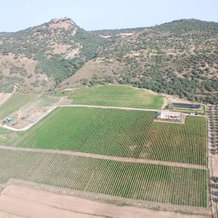 Bodegas Morosanto * La Cimada